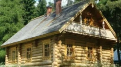 Gljivice ispod poda i u podzemlju drvene kuće: načini rješavanja s njim